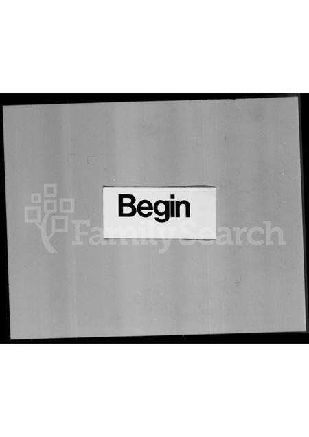 广东叶氏族谱-沙头角运麻坑叶氏族谱.pdf电子版预览图2