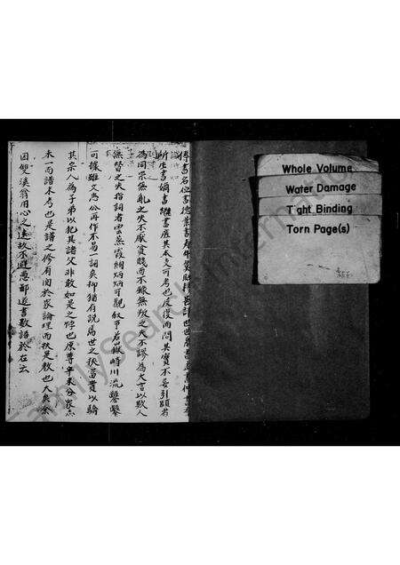 广东叶氏族谱-叶氏族谱.pdf电子版预览图2