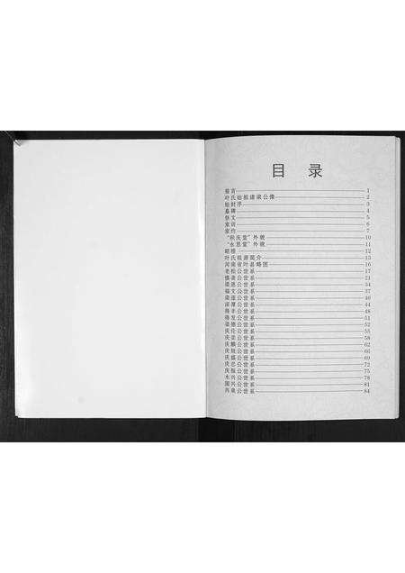 河南叶氏族谱-林内叶氏[不分卷].pdf电子版预览图2