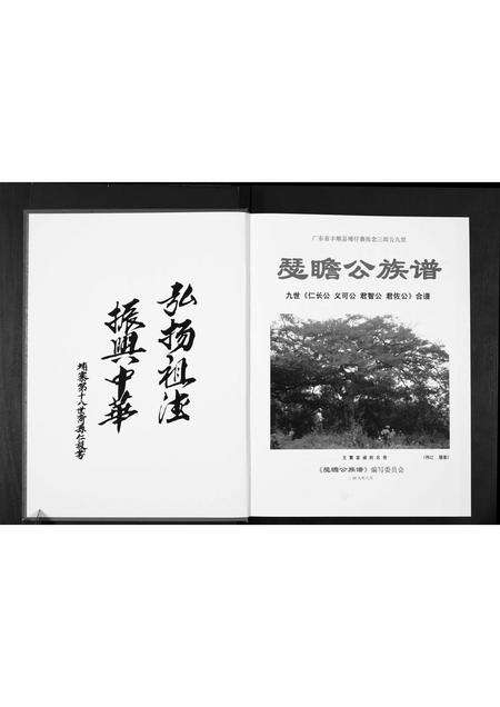 广东张氏族谱-张念三郎九世瑟瞻公公族谱.pdf电子版预览图2