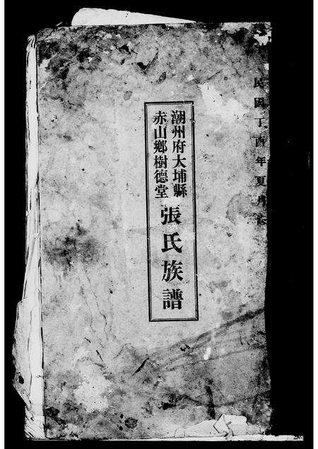 广东张氏族谱-潮州府大埔县赤山乡树德堂张氏族谱.pdf电子版预览图2