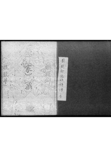 广东张氏族谱-围头乡张家族谱.pdf电子版预览图2