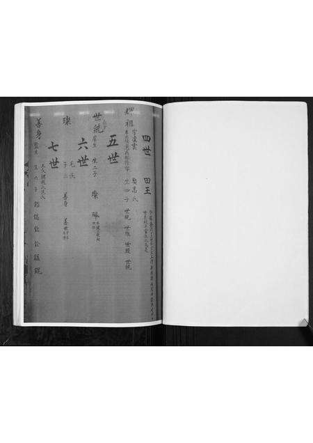 河南张氏族谱-张氏家谱.pdf电子版预览图2