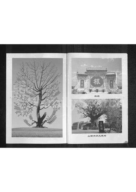 河南张氏族谱-张氏族谱.pdf电子版预览图2