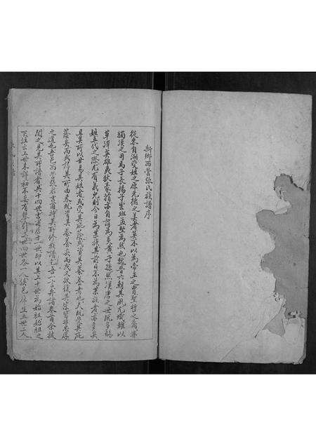 河南张氏族谱-张氏族谱.pdf电子版预览图2