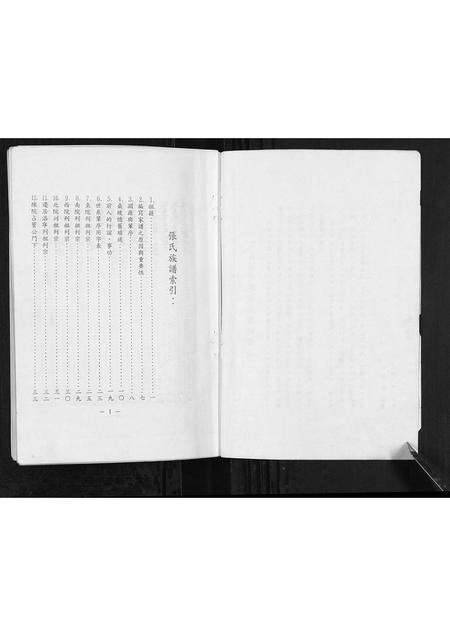 河南张氏族谱-河南省孟县桑坡张氏族谱[不分卷].pdf电子版预览图2