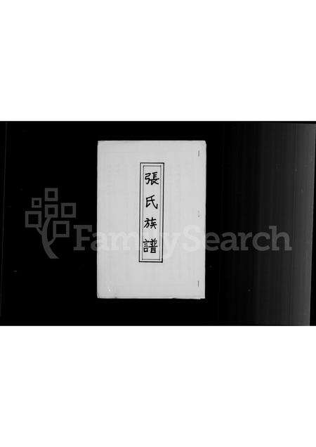 河南张氏族谱-张氏族谱.pdf电子版预览图2