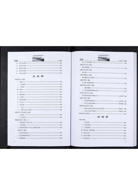 广东朱氏族谱-潮州府城朱氏家谱[3卷].pdf电子版预览图2