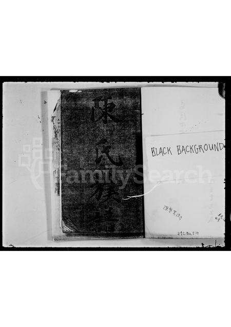 广东陈氏族谱-陈氏族谱 _ 马湾.pdf电子版预览图2