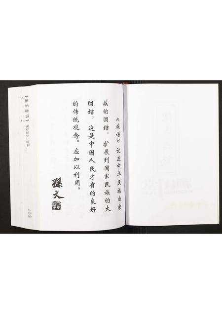 广东陈氏族谱-陈氏族志 [不分卷].pdf电子版预览图2