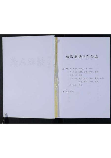 河南戴氏族谱-鹿邑淮阳戴氏族谱.pdf电子版预览图2