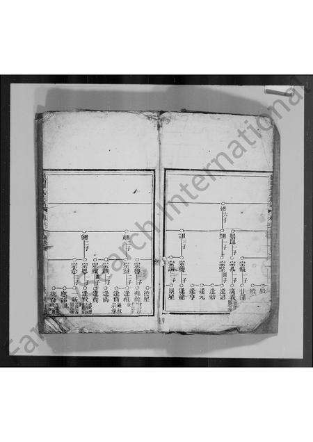 广东单氏族谱-岭南单氏十修族谱 [残卷].pdf电子版预览图2