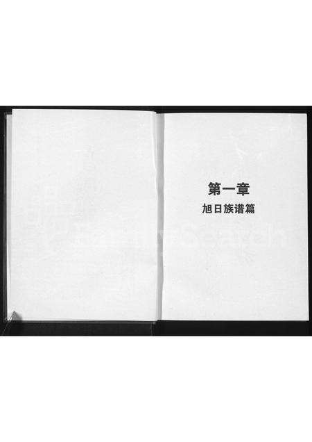 河南高氏族谱-高氏家族谱 _ 豫东南高氏家族支系部分 [残1卷].pdf电子版预览图2