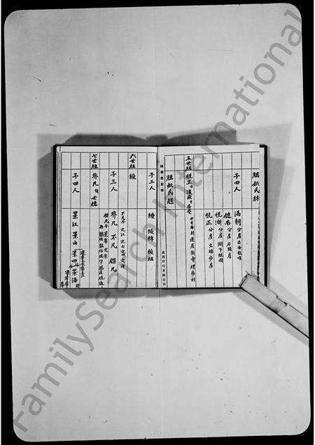 广东胡氏族谱-胡氏族谱.pdf电子版预览图2