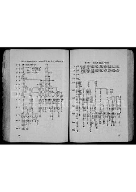 广东黄氏族谱-客家黄氏总谱.pdf电子版预览图2