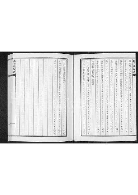 河南孔氏族谱-孔子世家谱 _ 河南省信阳市罗山县支.pdf电子版预览图2