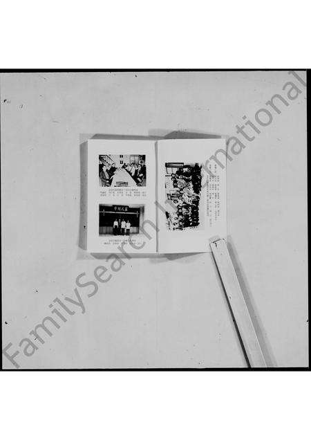 广东蓝氏族谱-香港塔门广东阳春蓝氏族谱合编.pdf电子版预览图2