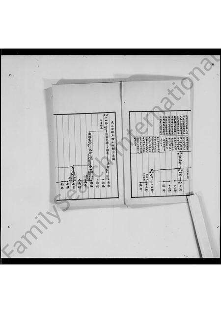 广东李氏族谱-雁洋李氏族谱 _ 节录.pdf电子版预览图2