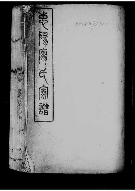 广东廖氏族谱-惠阳廖氏家谱 _ [2卷].pdf电子版预览图2