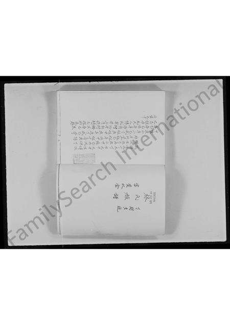 广东林氏族谱-九龙竹园村林氏族谱.pdf电子版预览图2