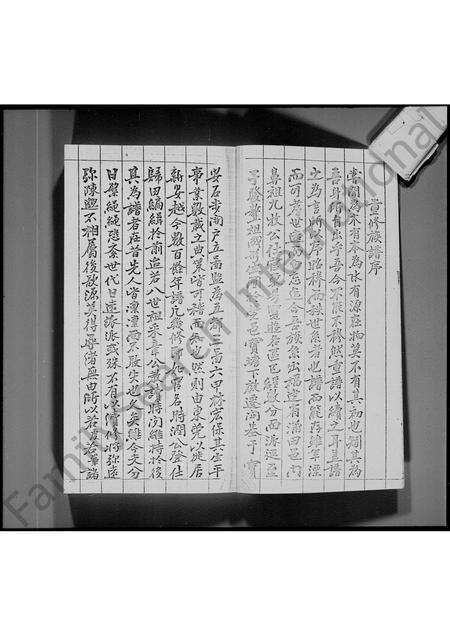 广东林氏族谱-屏山乡石埔村[林氏]族谱 [不分卷].pdf电子版预览图2