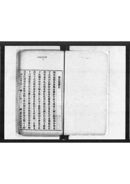 广东刘氏族谱-兴宁刘氏历代族谱总汇.pdf电子版预览图2