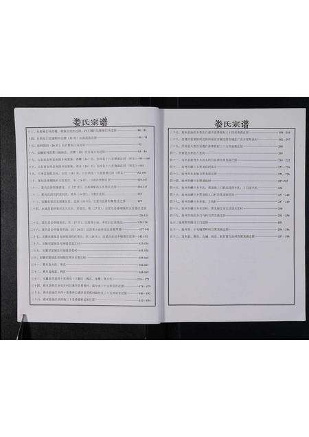 河南娄氏族谱-娄氏族谱 _ 二门.pdf电子版预览图2