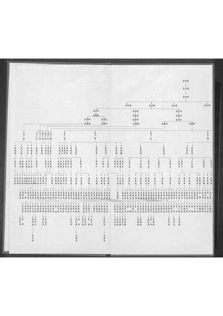 河南孟氏族谱-孟姓族谱 _ 郑州市惠济区南阳寨村.pdf电子版预览图2