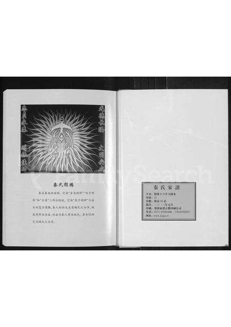 河南秦氏族谱-秦氏家谱 [不分卷].pdf电子版预览图2