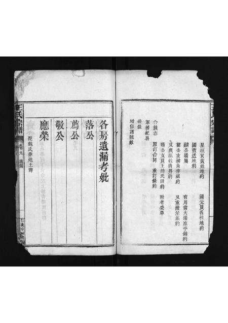 河南、安徽王氏族谱-王氏宗谱 [8卷,首末各1卷].pdf电子版预览图2