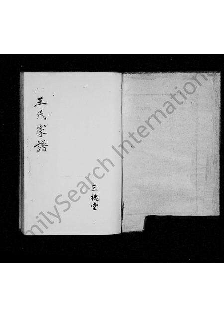 河南王氏族谱-王氏族谱 _ 三槐堂.pdf电子版预览图2