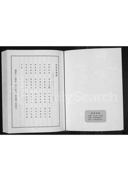 河南王氏族谱-王氏族谱 _ 长垣县蒲西区菜北村.pdf电子版预览图2