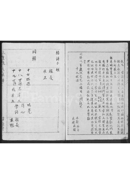 河南魏氏族谱-魏氏族谱 _ 河南省太康县 [再续1卷].pdf电子版预览图2