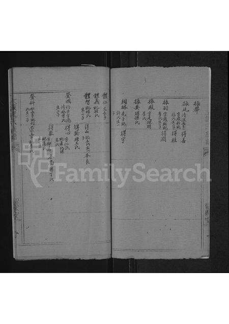 河南魏氏族谱-魏氏族谱 _ 河南省太康县 [存2卷].pdf电子版预览图2