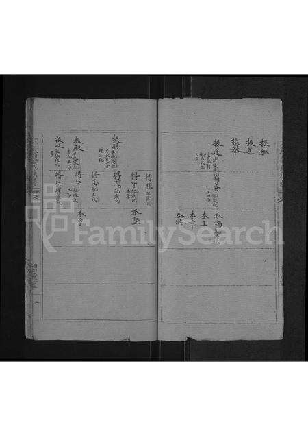 河南魏氏族谱-魏氏族谱 _ 河南省太康县 [存2卷].pdf电子版预览图2