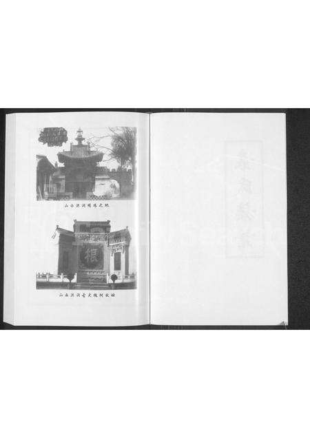 河南袁氏族谱-袁氏族谱.pdf电子版预览图2