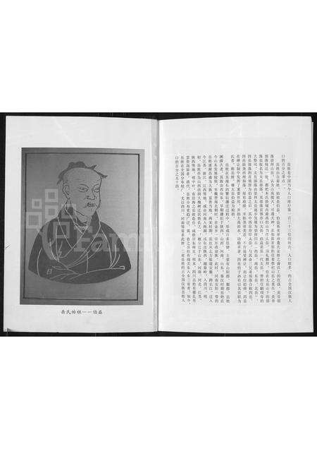 河南岳氏族谱-河南登封岳家楼岳氏宗谱.pdf电子版预览图2