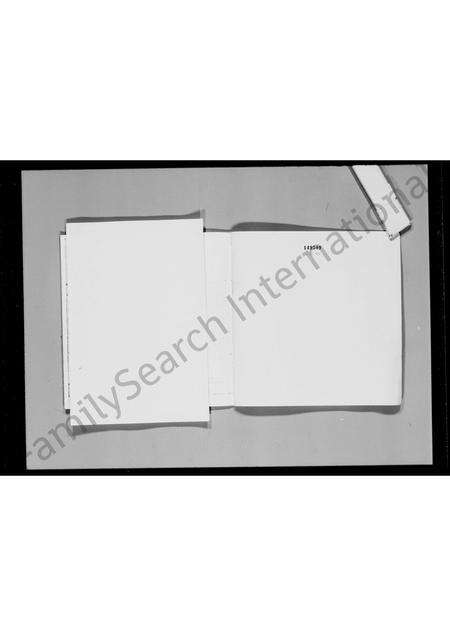 广东张氏族谱-族符流传.pdf电子版预览图2