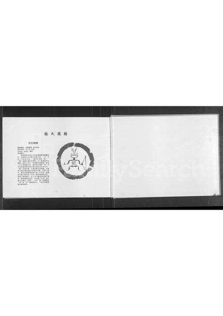 河南张氏族谱-张氏族谱.pdf电子版预览图2