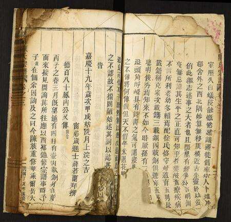 广东陈氏族谱-颖川陈氏宗谱.pdf电子版预览图2