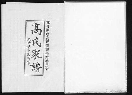 河南高氏族谱-高氏家谱.pdf电子版预览图2