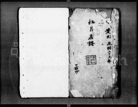 广东黄氏族谱-黄氏梅月房谱.pdf电子版预览图2