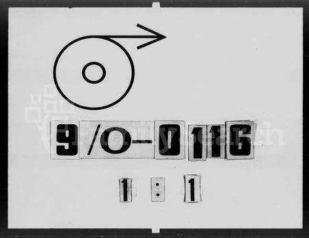 广东赖氏族谱-廉江遂海合博赖谱 [3卷].pdf电子版预览图2