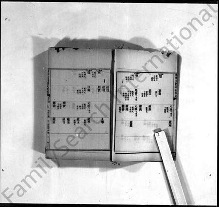 广东罗氏族谱-兴宁东门罗氏族谱 [7卷].pdf电子版预览图2