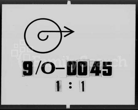 广东罗氏族谱-高明罗氏族谱 [残卷].pdf电子版预览图2