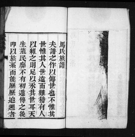 河南马氏族谱-马氏族谱.pdf电子版预览图2