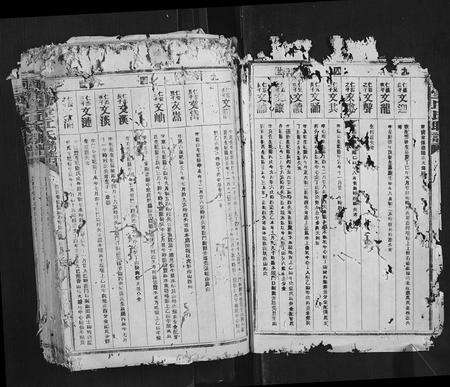 广东丘氏族谱-河南堂丘氏联谱.pdf电子版预览图2