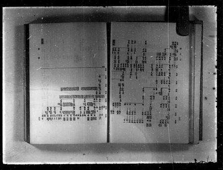 广东谭氏族谱-谭氏志.pdf电子版预览图2