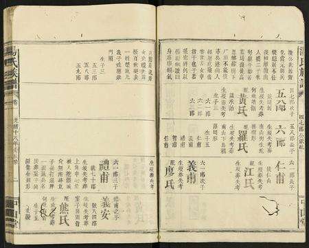 广东汤氏族谱-汤氏族谱 [残卷].pdf电子版预览图2