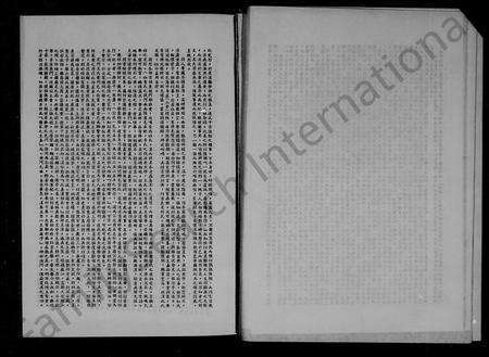 广东王氏族谱-星马王氏宗谊录.pdf电子版预览图2